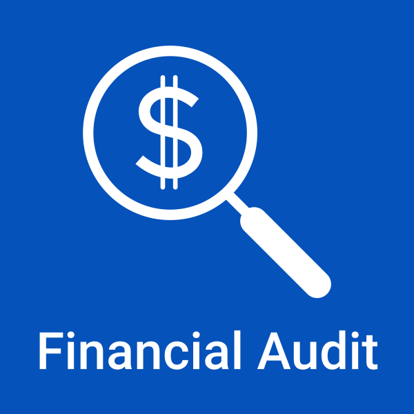 Link to the Financial Audit document