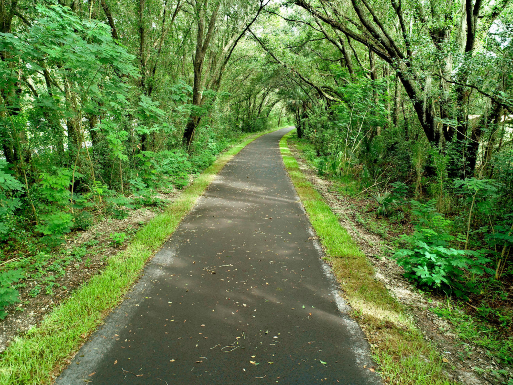 A view down a walking path surrounded by trees