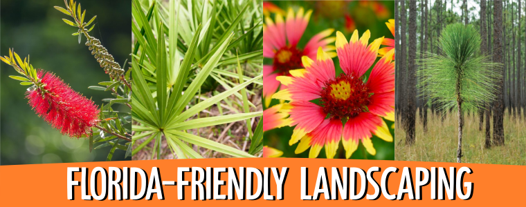 Text says Florida-friendly Landscaping